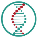 Mainz Biomed N.V. Ordinary Shares Share Price